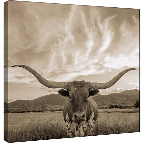 PTM Images 15 in. x 15 in. ''Longhorn'' Printed Canvas Wall Art