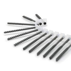 #7 x 2-3/8 in. Protech Coated Star Drive Trim Head Collated Edge Deck Screw (1000-Count)