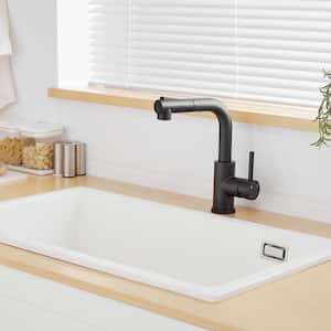 2-Spray Patterns Single Handle Stainless-Steel Pull-Out Sprayer Kitchen Faucet with Water Supply Hoses in Matte Black