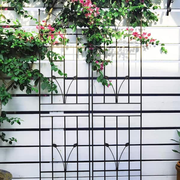 Unbranded - 71 in. H Outdoor Brown Rustproof Garden Metal Trellis