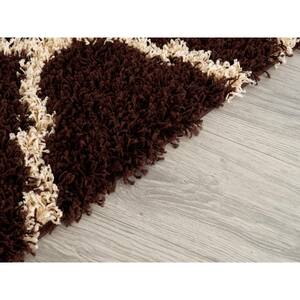 Anabelle Brown 4 ft. x 6 ft. Shag Area Rug
