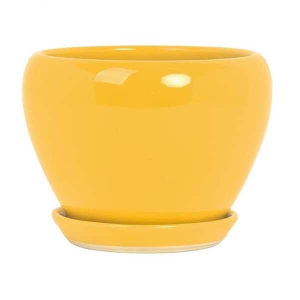 Yellow Ceramic Round Flower Planter with Drainage Hole and Trays for Indoor Outdoor Plants (6.3 in. W x 4.5 in. H)