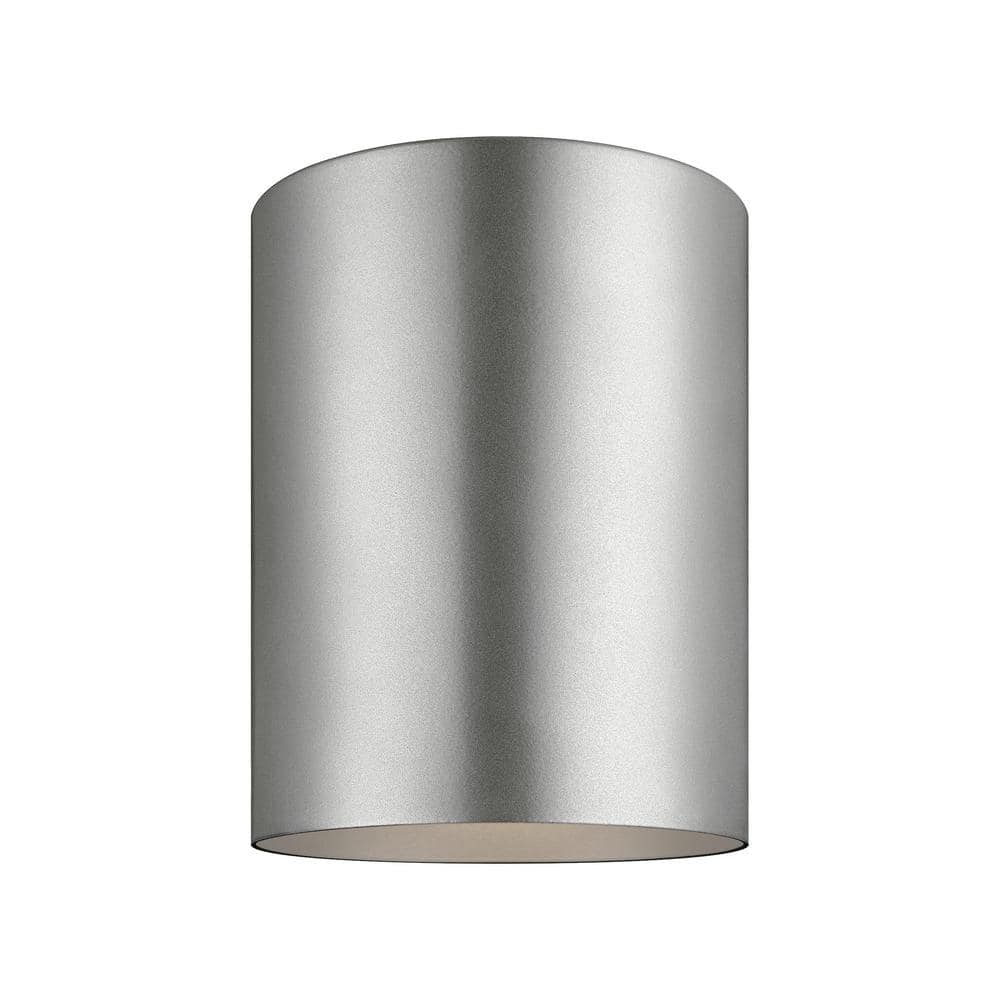 Transitional Small Outdoor LED Flush Mount in Painted Brushed Nickel