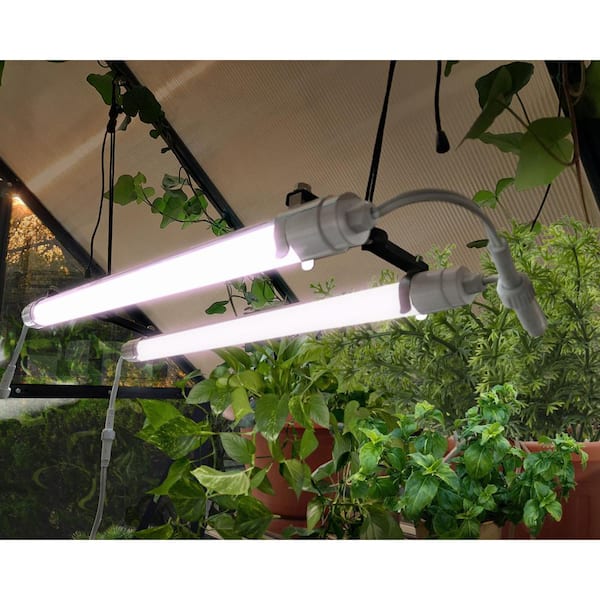 Brighton Full Spectrum Greenhouse LED Grow Light