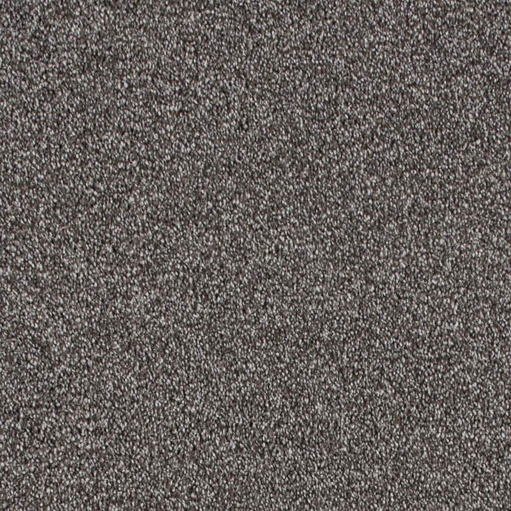 8 in. x 8 in. Texture Carpet Sample - Still In Love I -Color Stone Rose price history on PriceWatchPro