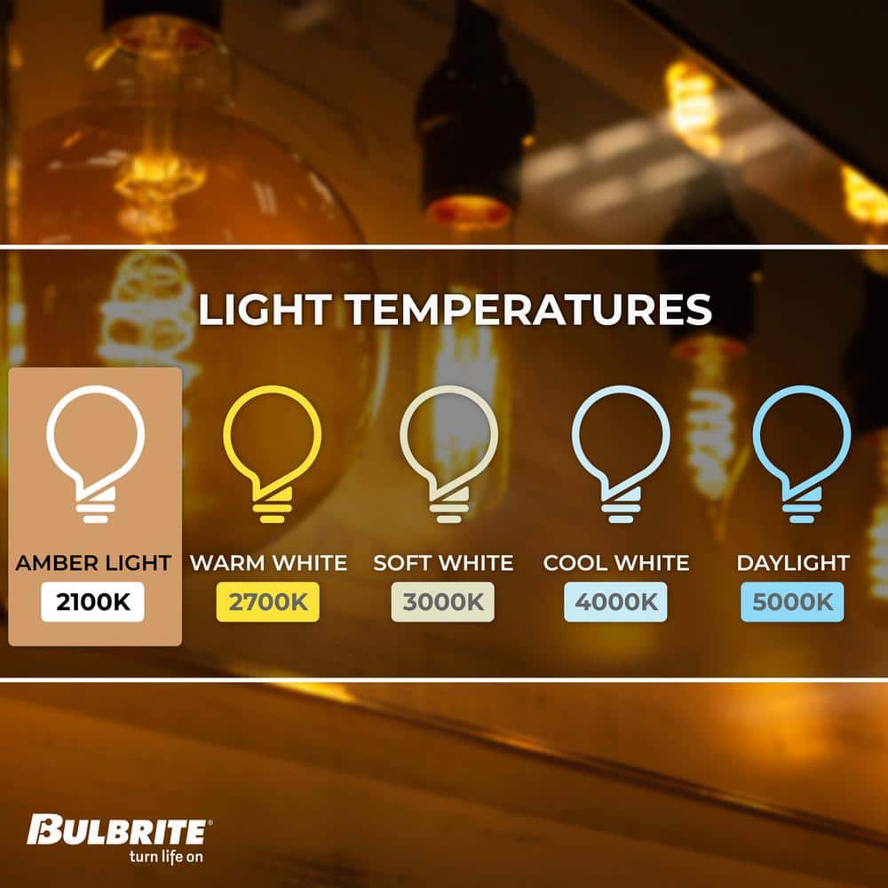 Oversized Clear Globe LED Edison Bulb, Dimmable 2200K