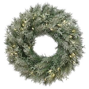 24 in. Artificial Snowy Stonington Fir Wreath with LED Lights