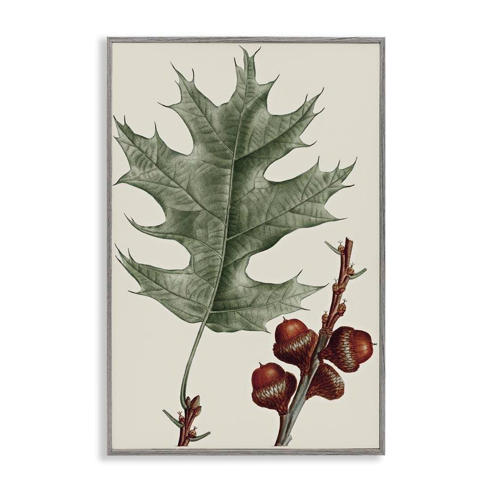 Vintage Black Oak Leaf by Graffi*tee Studios Gray Framed Nature Giclee Art Print 18 in. x 12 in. price history on PriceWatchPro
