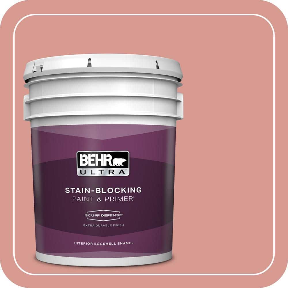 5 gal. #T13-15 Shanghai Peach Extra Durable Eggshell Enamel Interior Paint & Primer price history on PriceWatchPro