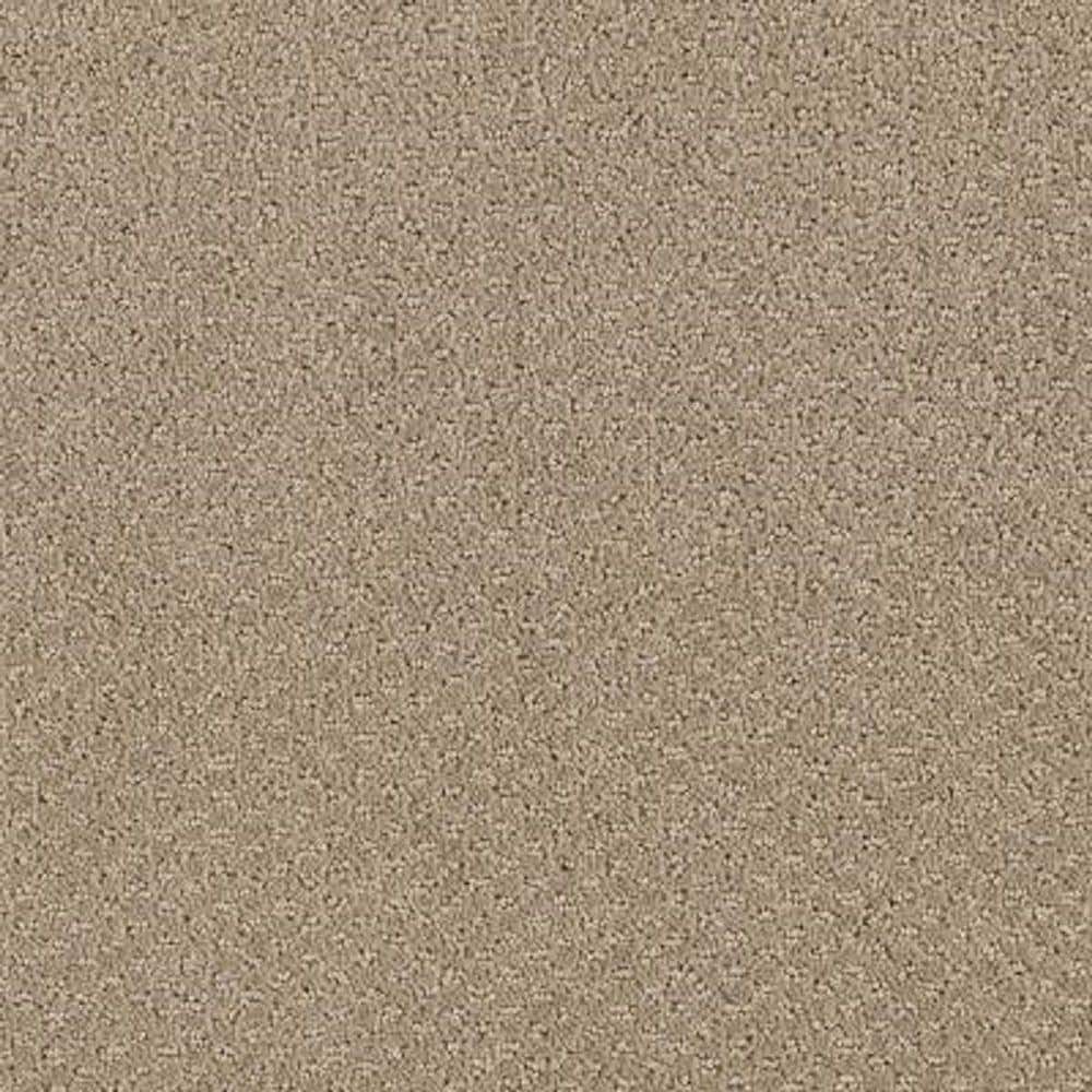 8 in. x 8 in. Pattern Carpet Sample - Katama II -Color Taupe Treasure price history on PriceWatchPro