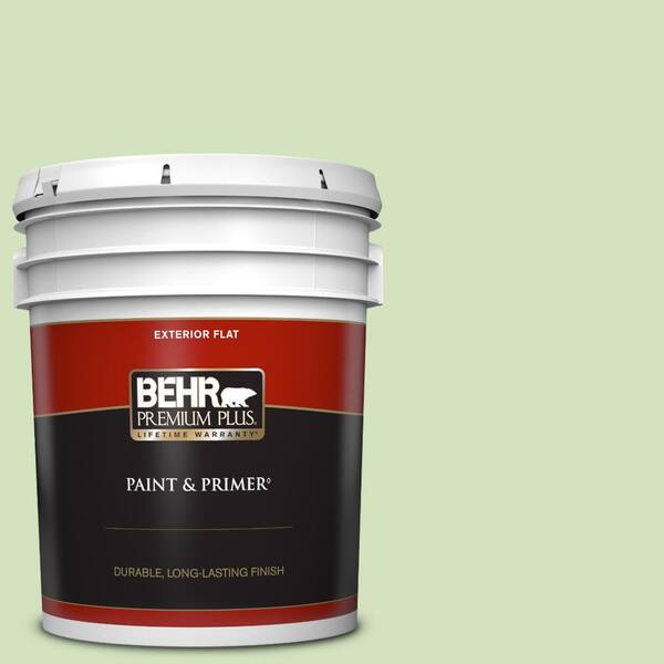 BEHR PREMIUM PLUS 5 gal. #P380-3 Irish Folklore Flat Exterior Paint & Primer