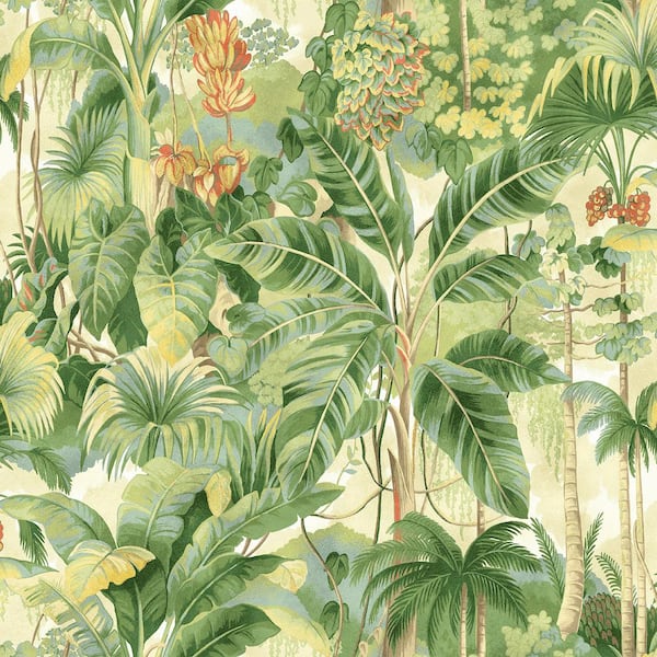 Nature Lover Aloe Tropical Vinyl Peel and Stick Wallpaper Roll (Covers 30.75 sq. ft.)