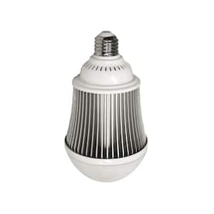 5000 Lumen Grow LED A-Line Bulb E26 Base