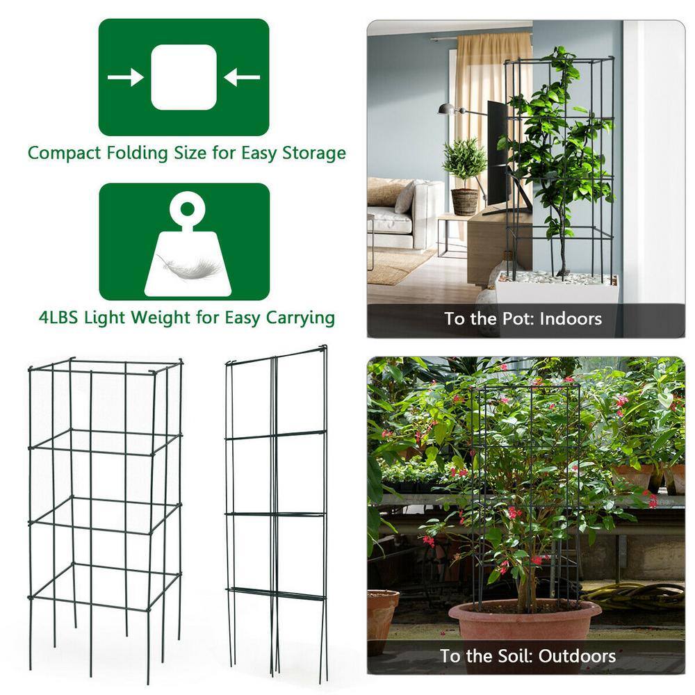 Dark Green Iron Trellis Plant Cage Set for Indoor Climbing Plants