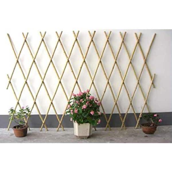 MGP 36 in. H Expandable Bamboo Poles Trellis BFF-36P - The Home Depot