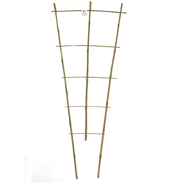 MGP 60 in . H Bamboo Ladder Trellis (Set of 5)