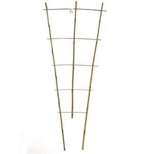 36 in. H Bamboo ladder Trellis, Set of 3
