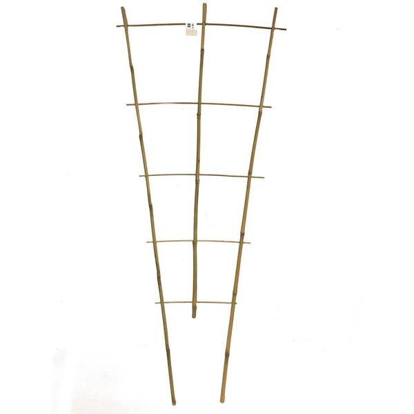 MGP 40 in. H Bamboo Ladder Trellis, (5-Set)