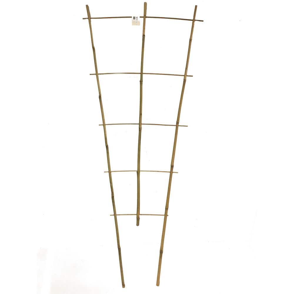 MGP 48 in. H Bamboo ladder Trellis, Set of 3 BLT483 The Home Depot