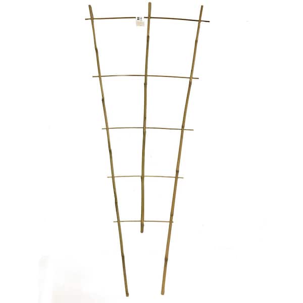 MGP 48 in. H Bamboo ladder Trellis, Set of 3