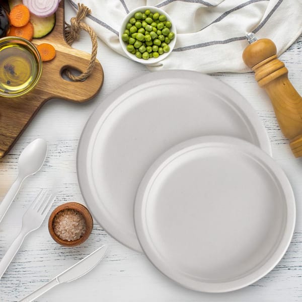 250 Piece Compostable Paper Plates Set with Extra Long Utensils