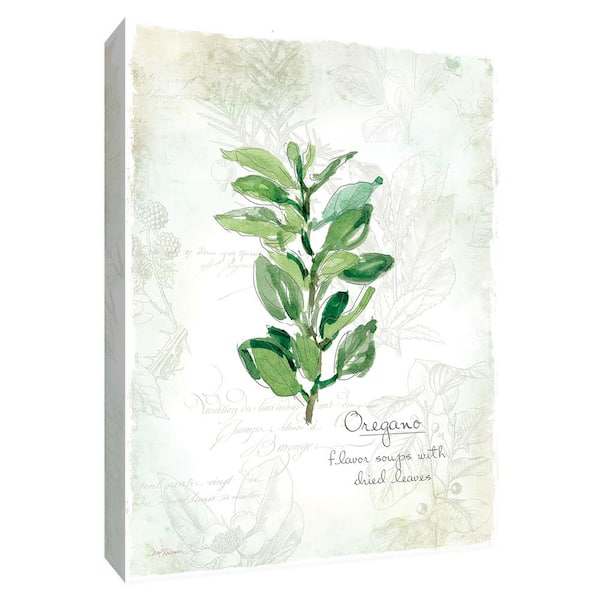 PTM Images 12 in. x 10 in. ''Fresh Oregano'' Canvas Wall Art