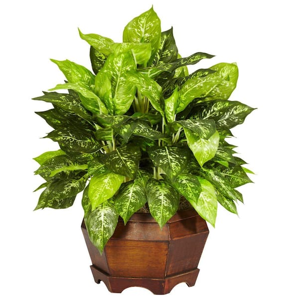 Nearly Natural 24 in. Artificial H Green Variegated Dieffenbachia with ...