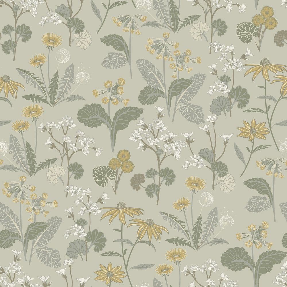 A-Street Prints Magdalena Light Green Dandelion Paper Matte Non-Pasted ...