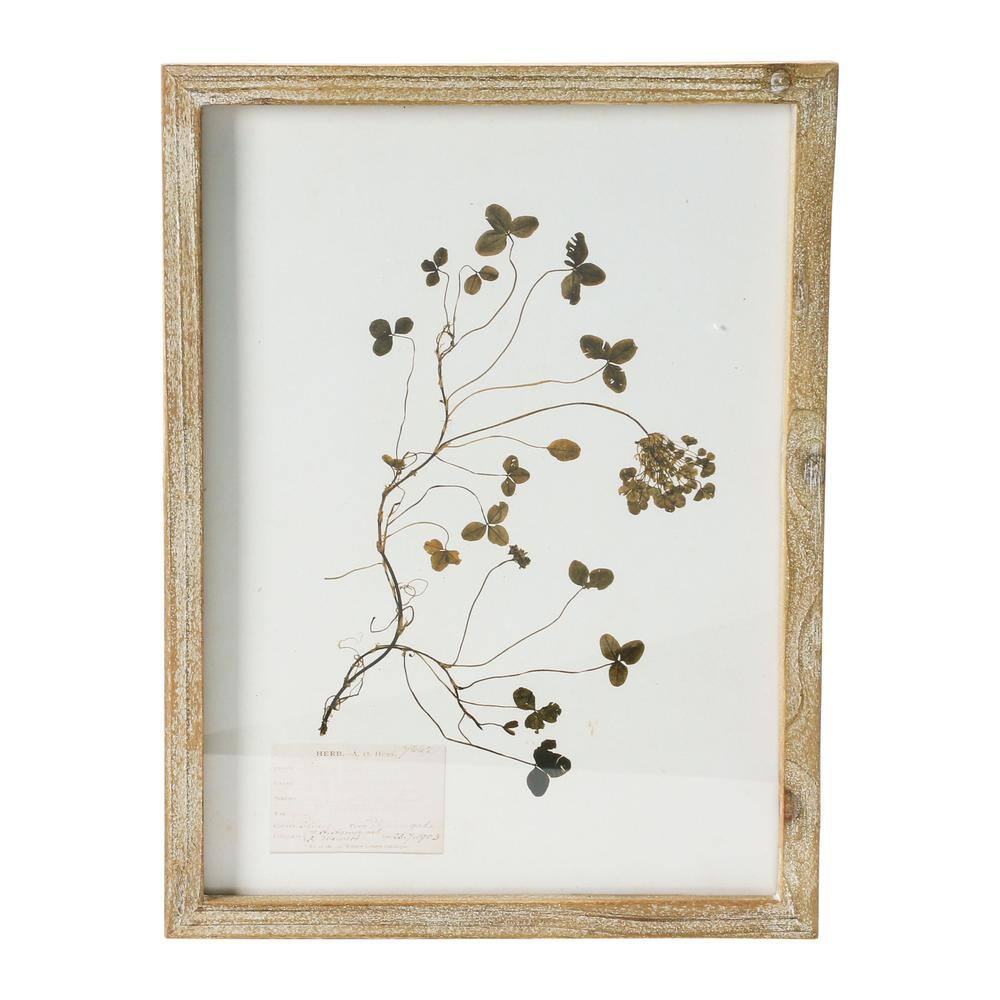 Set of 6 Botanical Prints in Light Brown Wood Frames