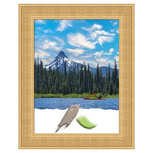 Trellis Gold Wood Picture Frame Opening Size 18 x 24 in.