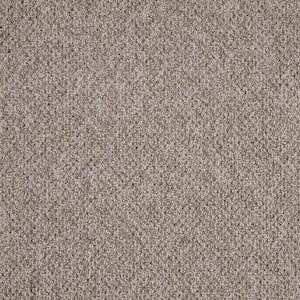 Falhurst  - Cape Cod - Gray 15 ft. 24 oz. Polyester Pattern Installed Carpet