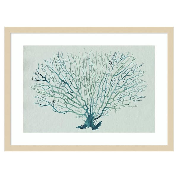 Amanti Art Seaglass Shadow III by Grace Popp 25 in. W x 19 in. H. Wood Framed Wall Art Print Framed in Brown