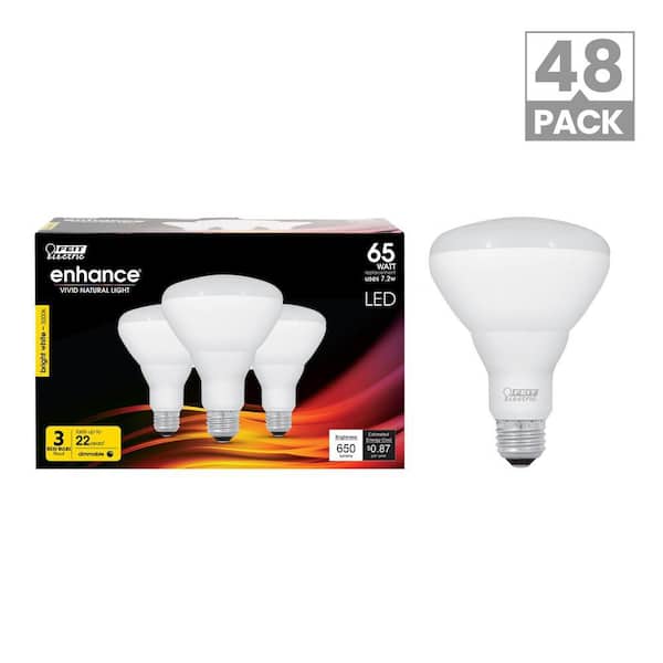 65-Watt Equivalent BR30 Dimmable CEC Compliant 90 CRI CEC Title 20 E26 Flood LED Light Bulb Bright White 3000K (48-Pack)