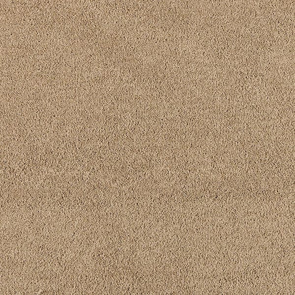 Tailored Trends III Lavish Brown 58 oz. Polyester Textured Carpet - Installation Required