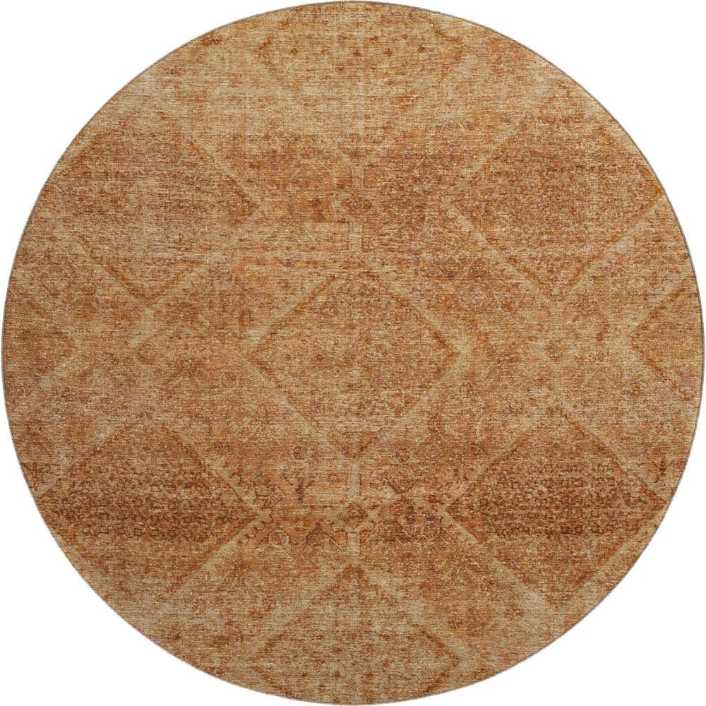 Mayfield Premium Machine Washable Abstract AMF2060 Copper 8 ft. x 8 ft. Round Rug price history on PriceWatchPro