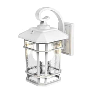 Williams 15.5 in. 1-Light White LED Outdoor Wall Light Coach Sconce with Hammered Glass Dusk to Dawn (Bulb Included)