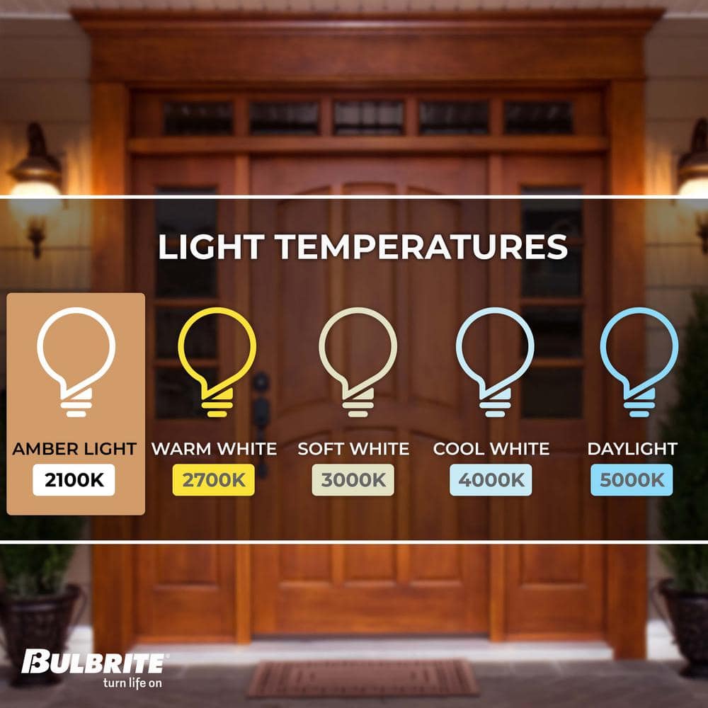 Oversized Clear Bee Hive LED Edison Bulb, 60 Watt Equivalent