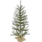 3 ft. Pre-Lit Farmhouse Fir Artificial Christmas Tree with Burlap Bag and Warm White LED Lights