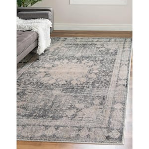 Asheville Rockwell Gray 8' 0 x 10' 0 Area Rug