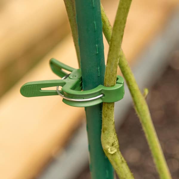 Reinforced Plant Clips (10-Pack)