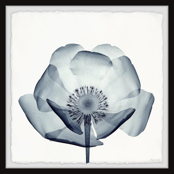 Unbranded "Positivity Is Key" by Marmont Hill Framed Nature Art Print 12 in. x 12 in.