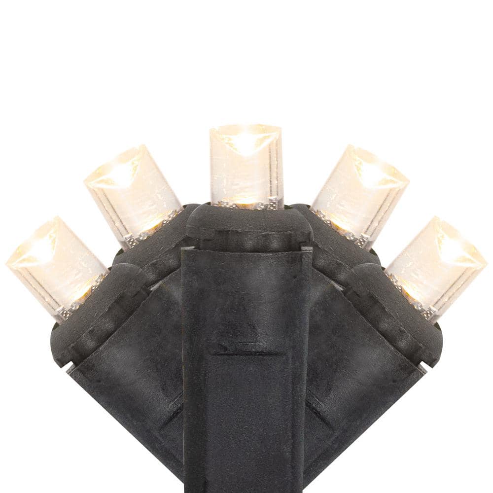 Northlight Set of 50 Warm White LED Wide Angle Christmas Lights