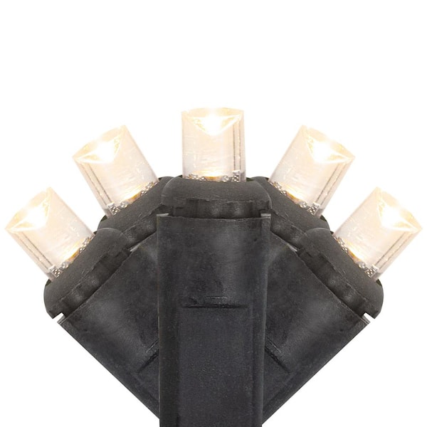 Northlight Set of 50 Warm White LED Wide Angle Christmas Lights - Black Wire