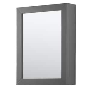 Daria 24 in. W x 30 in. H Framed Wall Mirror in Dark Gray