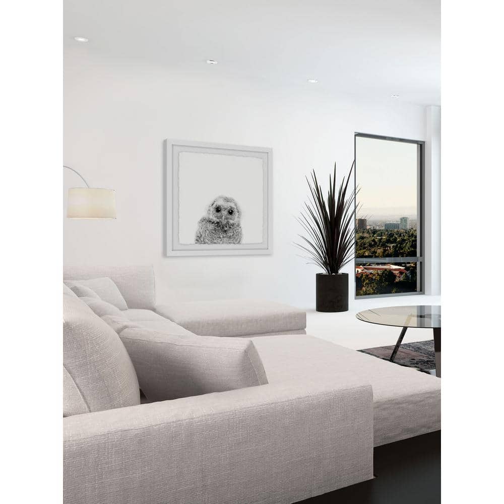20" x 20" Gray and White Owl Framed Canvas Print