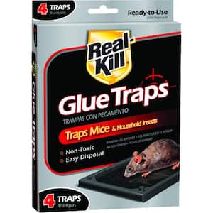 Traps - Animal & Rodent Control - The Home Depot