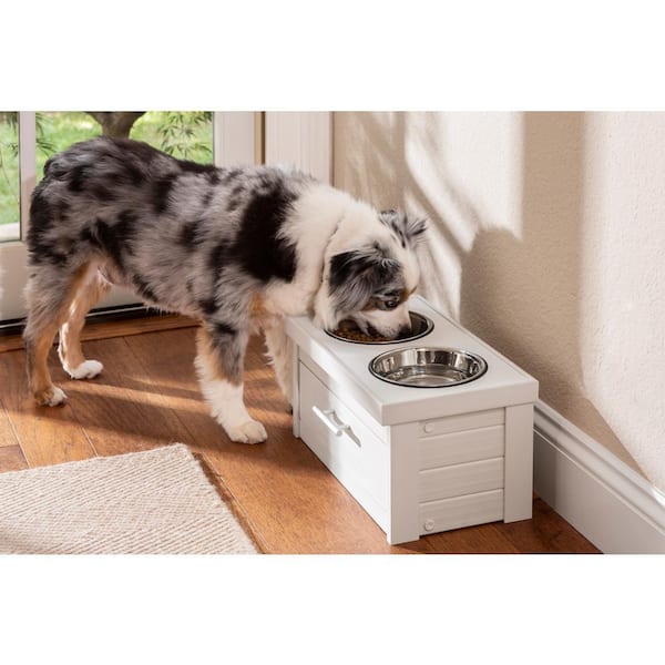 Feed Your Dog in Style with Our Rex Specs Dog Bowl