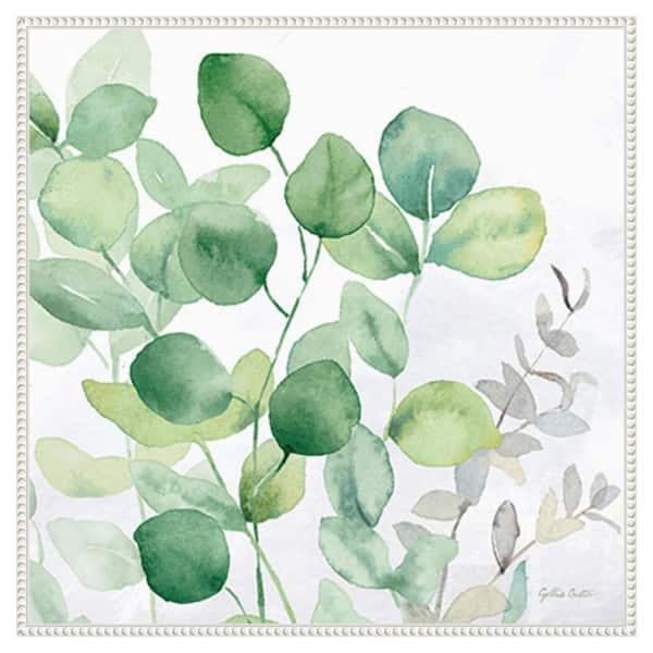 Amanti Art Eucalyptus Leaves II by Cynthia Coulter 30 in. W x 30 in. H. Canvas Wall Art Print Framed in White
