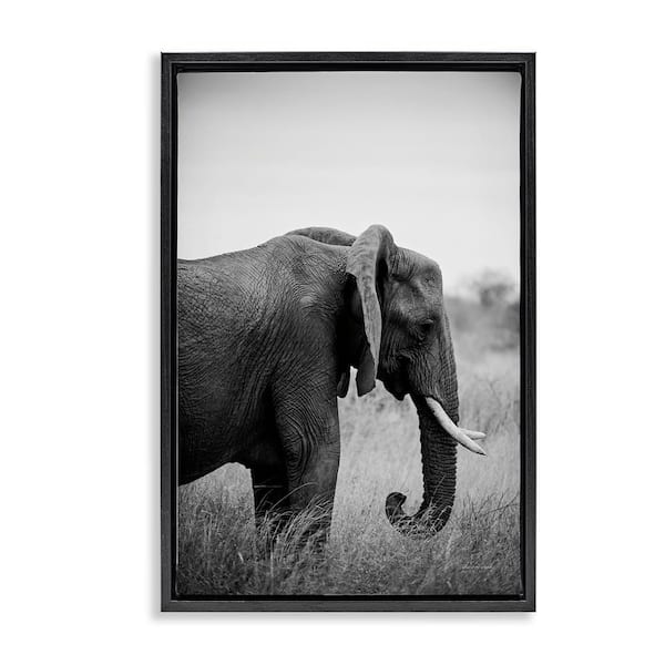 Stupell Industries Side Profile Elephant by Sharon Vardy Black Floater Frame Animal Graphic Art Print 25 in. x 17 in.