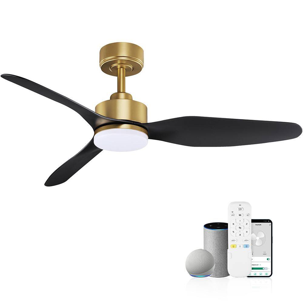 48 in. Smart Outdoor Indoor Gold Black Ceiling Fans with LED Lights and Rem